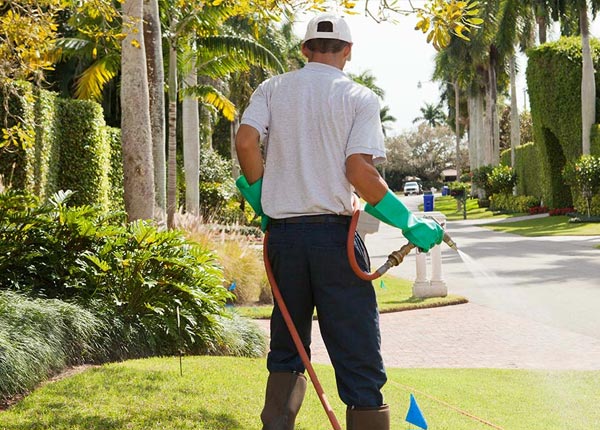 About Ailey GA Pest Control Pros